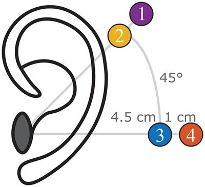 Objective preclinical measures for bone conduction implants